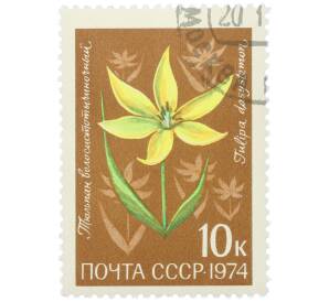 Почтовая марка 10 копеек 1974 года «Цветы альпийских лугов Средней Азии — Тюльпан волосистотычиночный» — Фото №1