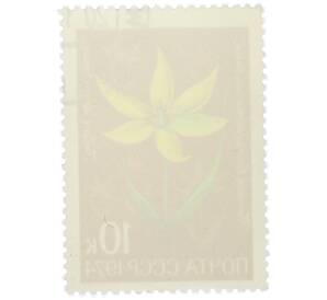 Почтовая марка 10 копеек 1974 года «Цветы альпийских лугов Средней Азии — Тюльпан волосистотычиночный» — Фото №2