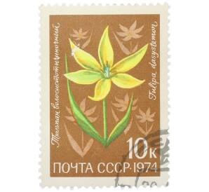 Почтовая марка 10 копеек 1974 года «Цветы альпийских лугов Средней Азии — Тюльпан волосистотычиночный» — Фото №1