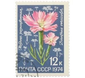 Почтовая марка 12 копеек 1974 года «Цветы альпийских лугов Средней Азии — Гвоздика разноцветная» — Фото №1