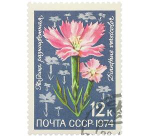 Почтовая марка 12 копеек 1974 года «Цветы альпийских лугов Средней Азии — Гвоздика разноцветная» — Фото №1