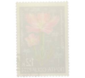 Почтовая марка 12 копеек 1974 года «Цветы альпийских лугов Средней Азии — Гвоздика разноцветная» — Фото №2