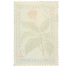 Почтовая марка 2 копейки 1973 года «Лекарственные растения — Женьшень обыкновенный» — Фото №2