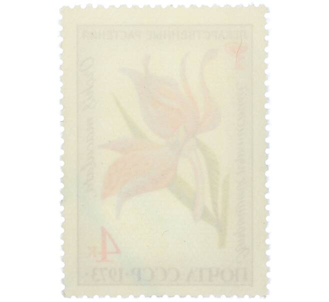 Почтовая марка 4 копейки 1973 года «Лекарственные растения — Ятрышник пятнистый» (Артикул: K12-79117) — Фото №2