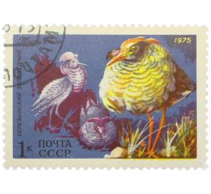 Почтовая марка 1 копейка 1975 года «Березинский заповедник — Турухтан» — Фото №1