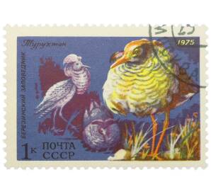 Почтовая марка 1 копейка 1975 года «Березинский заповедник — Турухтан» — Фото №1