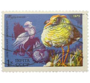 Почтовая марка 1 копейка 1975 года «Березинский заповедник — Турухтан» — Фото №1