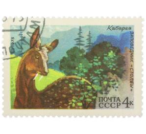 Почтовая марка 4 копейки 1975 года «Заповедник Столбы — Кабарга» — Фото №1