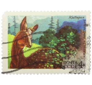 Почтовая марка 4 копейки 1975 года «Заповедник Столбы — Кабарга» — Фото №1