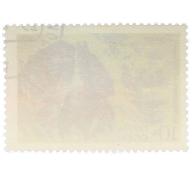 Почтовая марка 10 копеек 1975 года «Заповедник Столбы — Глухарь» (Артикул: K12-79133) — Фото №2