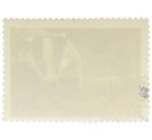 Почтовая марка 16 копеек 1975 года «Березинский заповедник — Барсук» — Фото №2