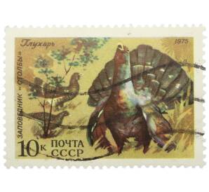 Почтовая марка 10 копеек 1975 года «Заповедник Столбы — Глухарь» — Фото №1