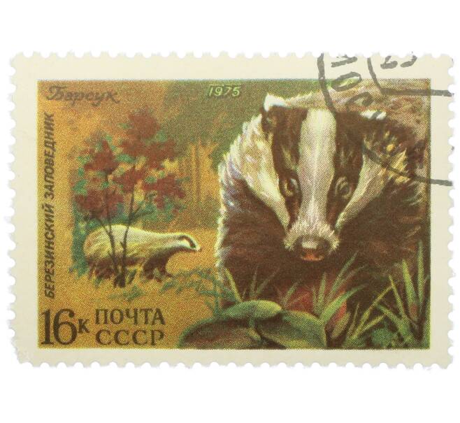 Почтовая марка 16 копеек 1975 года «Березинский заповедник — Барсук» (Артикул: K12-79140) — Фото №1