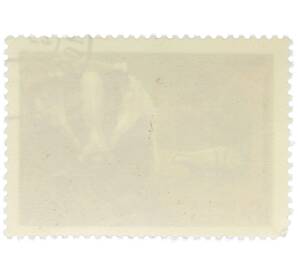 Почтовая марка 16 копеек 1975 года «Березинский заповедник — Барсук» — Фото №2