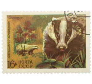 Почтовая марка 16 копеек 1975 года «Березинский заповедник — Барсук» — Фото №1