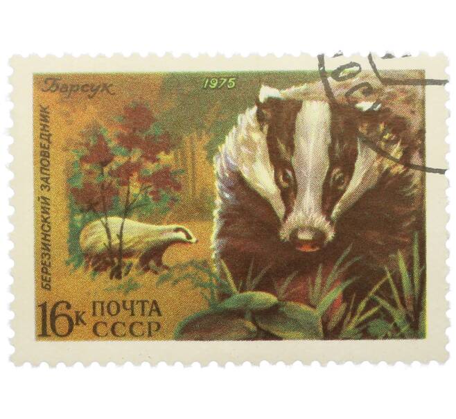 Почтовая марка 16 копеек 1975 года «Березинский заповедник — Барсук» (Артикул: K12-79141) — Фото №1