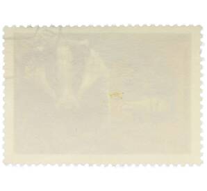 Почтовая марка 16 копеек 1975 года «Березинский заповедник — Барсук» — Фото №2