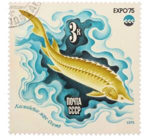 Почтовая марка 3 копейки 1975 года «Каспийское море — Осетр (Expo-75)» — Фото №1