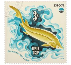 Почтовая марка 3 копейки 1975 года «Каспийское море — Осетр (Expo-75)» — Фото №1