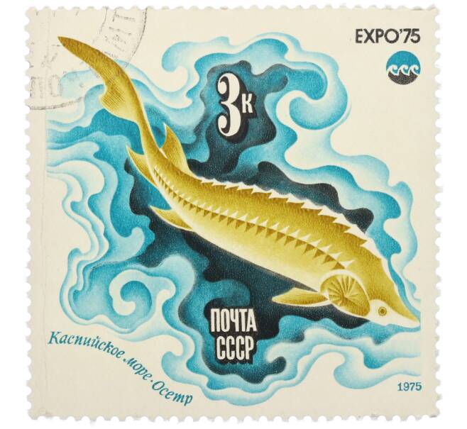 Почтовая марка 3 копейки 1975 года «Каспийское море — Осетр (Expo-75)» (Артикул: K12-79150) — Фото №1