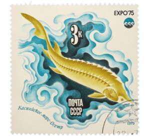 Почтовая марка 3 копейки 1975 года «Каспийское море — Осетр (Expo-75)» — Фото №1