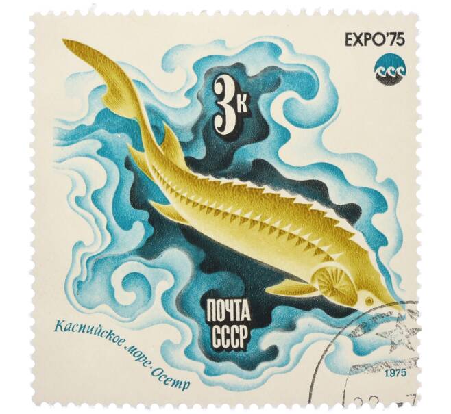 Почтовая марка 3 копейки 1975 года «Каспийское море — Осетр (Expo-75)» (Артикул: K12-79151) — Фото №1