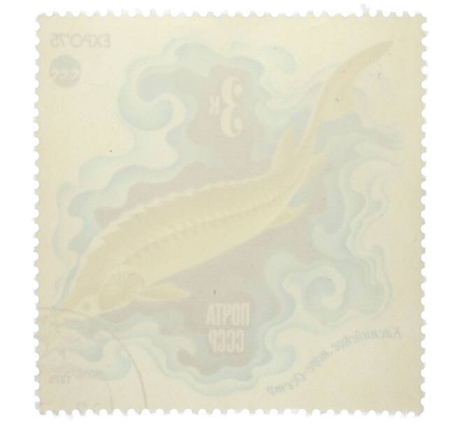 Почтовая марка 3 копейки 1975 года «Каспийское море — Осетр (Expo-75)» (Артикул: K12-79151) — Фото №2