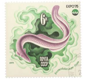 Почтовая марка 6 копейки 1975 года «Балтийское море — Угорь (Expo-75)»