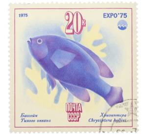 Почтовая марка 20 копеек 1975 года «Бассейн Тихого океана — Хризиптера (Expo-75)»