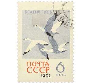 Почтовая марка 6 копеек 1962 года «Птицы — Белый гусь»