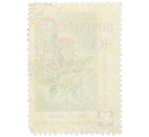 Почтовая марка 40 копеек 1960 года «Флора Дальнего Востока — Женьшень обыкновенный»