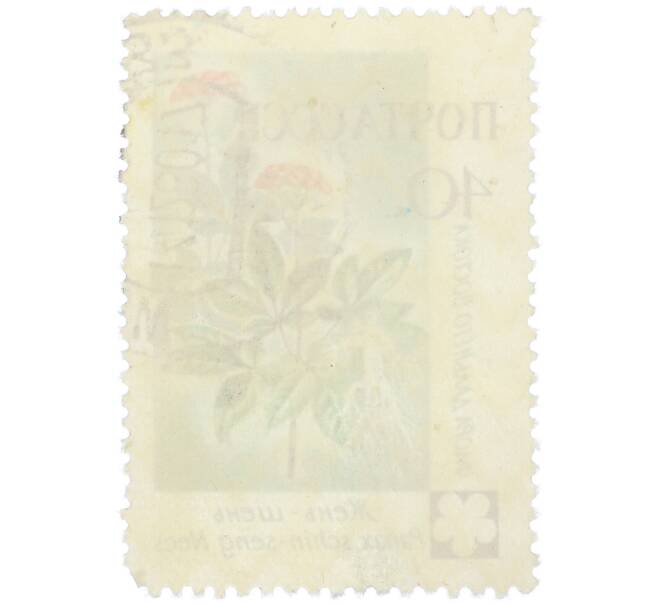 Почтовая марка 40 копеек 1960 года «Флора Дальнего Востока — Женьшень обыкновенный» (Артикул: K12-79262) — Фото №2