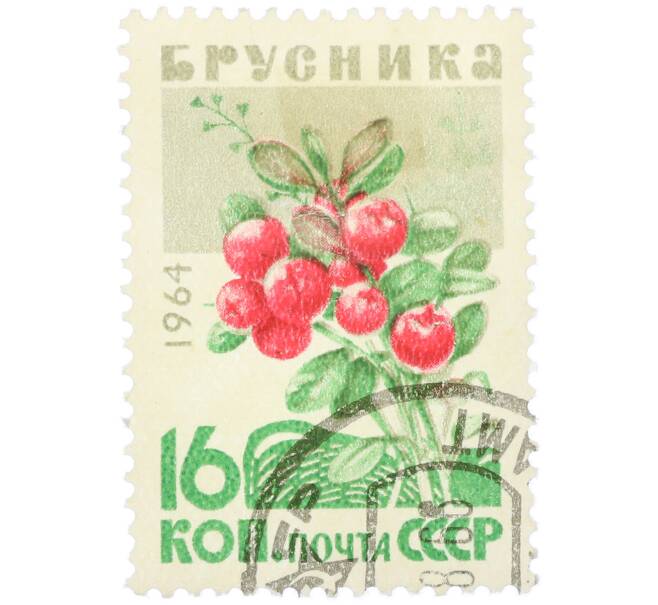 Почтовая марка 16 копеек 1964 года «Брусника» (Артикул: K12-79263) — Фото №1