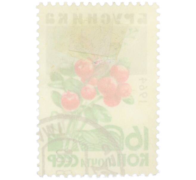 Почтовая марка 16 копеек 1964 года «Брусника» (Артикул: K12-79263) — Фото №2