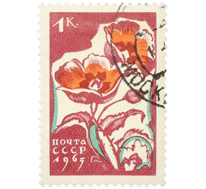 Почтовая марка 1 копейка 1965 года «Маки» (Артикул: K12-79264) — Фото №1