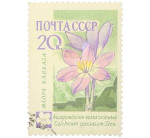 Почтовая марка 20 копеек 1960 года «Флора Кавказа — Безвременник великолепный»