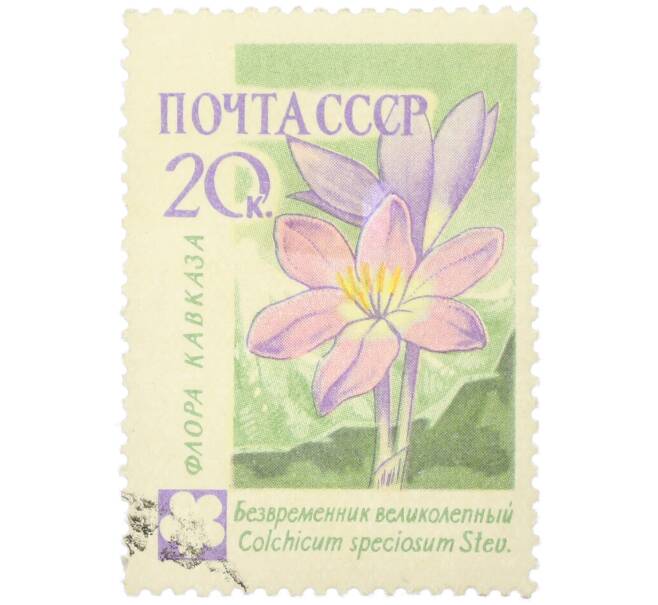 Почтовая марка 20 копеек 1960 года «Флора Кавказа — Безвременник великолепный» (Артикул: K12-79266) — Фото №1