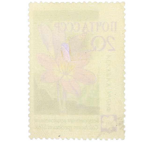 Почтовая марка 20 копеек 1960 года «Флора Кавказа — Безвременник великолепный» (Артикул: K12-79266) — Фото №2