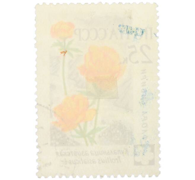 Почтовая марка 25 копеек 1960 года «Флора Сибири — Купальница азиатская» (Артикул: K12-79267) — Фото №2