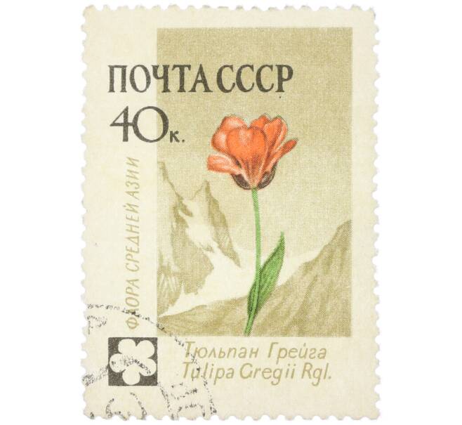 Почтовая марка 40 копеек 1960 года «Флора Средней Азии — Тюльпан Грейга» (Артикул: K12-79268) — Фото №1