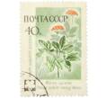 Почтовая марка 40 копеек 1960 года «Флора Дальнего Востока — Женьшень обыкновенный» (Артикул: K12-79269) — Фото №1
