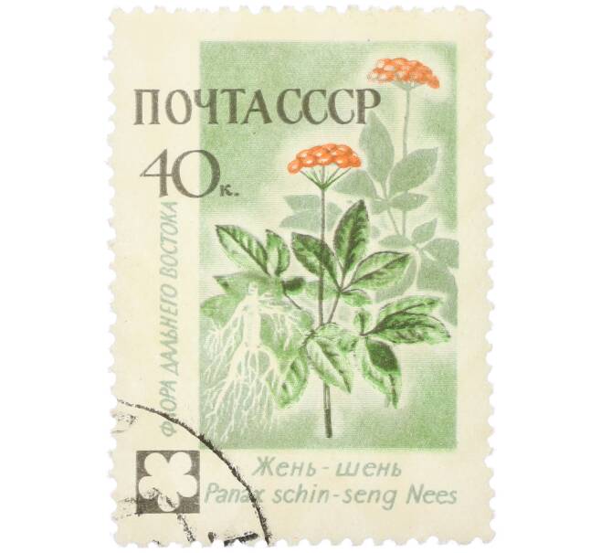 Почтовая марка 40 копеек 1960 года «Флора Дальнего Востока — Женьшень обыкновенный» (Артикул: K12-79269) — Фото №1
