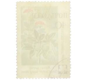 Почтовая марка 40 копеек 1960 года «Флора Дальнего Востока — Женьшень обыкновенный»