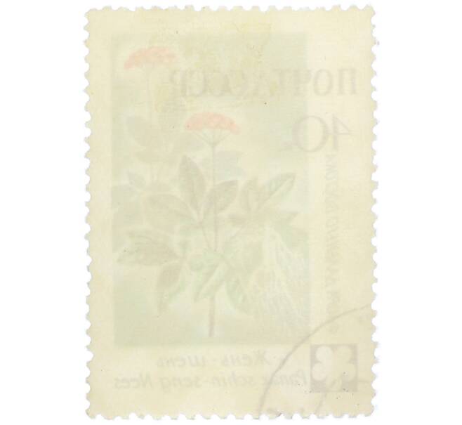 Почтовая марка 40 копеек 1960 года «Флора Дальнего Востока — Женьшень обыкновенный» (Артикул: K12-79269) — Фото №2