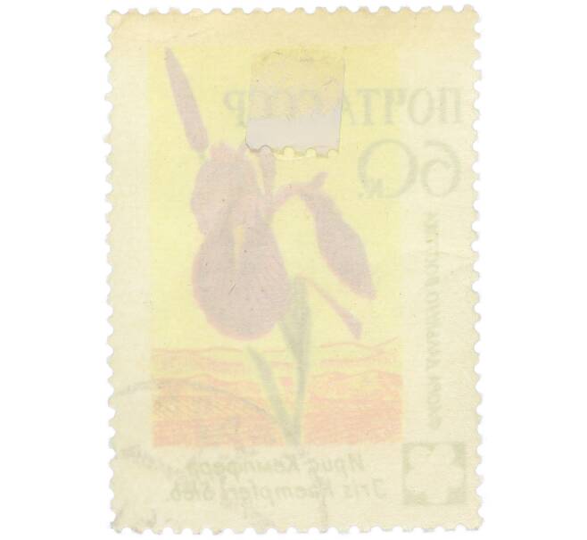 Почтовая марка 60 копеек 1960 года «Флора Дальнего Востока — Ирис Кемпфера» (Артикул: K12-79270) — Фото №2