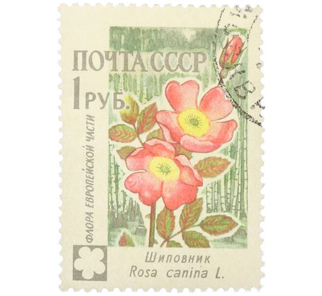 Почтовая марка 1 рубль 1960 года «Флора Европейской части — Шиповник» (Артикул: K12-79271) — Фото №1