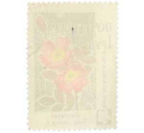 Почтовая марка 1 рубль 1960 года «Флора Европейской части — Шиповник»