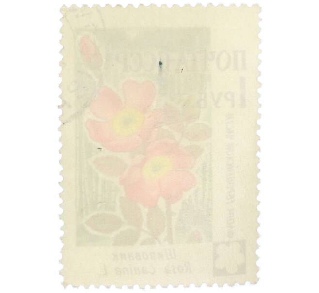 Почтовая марка 1 рубль 1960 года «Флора Европейской части — Шиповник» (Артикул: K12-79271) — Фото №2