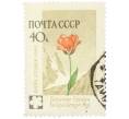 Почтовая марка 40 копеек 1960 года «Флора Средней Азии — Тюльпан Грейга» (Артикул: K12-79272) — Фото №1