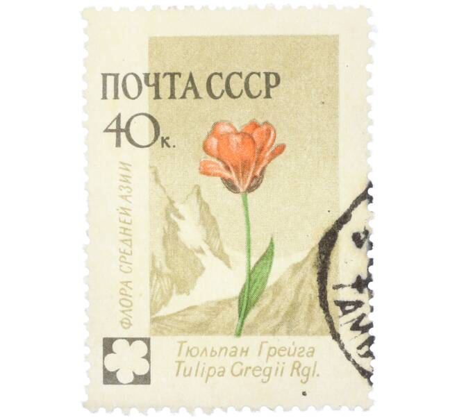 Почтовая марка 40 копеек 1960 года «Флора Средней Азии — Тюльпан Грейга» (Артикул: K12-79272) — Фото №1